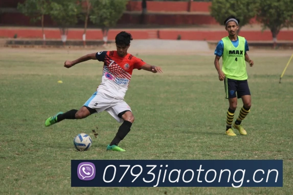 必一运动b官网平台生态图